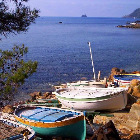 Camping Orly D'Azur Hotel Six-Fours-les-Plages Zewnętrze zdjęcie